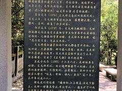 -遂昌金矿国家矿山公园