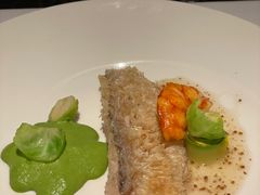 马夹鱼-蝶舍·MAISON PAPILLON