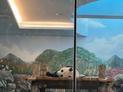 -武汉动物园