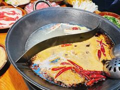 -阳阳老火锅(小南门店)