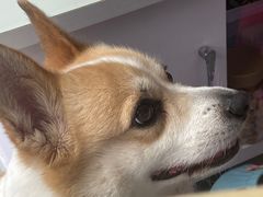 -布莉安石窑面包(中山路店)