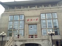 -武汉大学-樱园