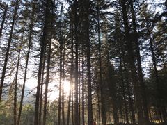-硗碛藏寨·神木垒景区