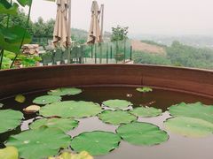 -远山有窑
