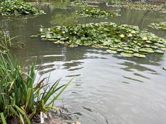 -洛阳市隋唐城遗址植物园