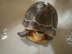 -九忠祥小笼馆(保利时光里店)