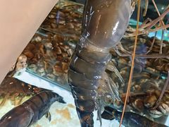 -Ministry of Crab(科伦坡店)