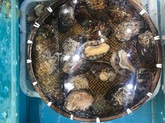 -港畔赶海蒸汽海鲜烧烤自助(仙螺岛店)