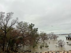 -宝安西湾红树林湿地公园