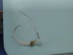 -乐宠宠物店(世纪金源店)