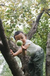 -沐曦摄影工作室