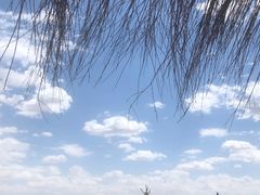 -黄沙古渡原生态旅游区