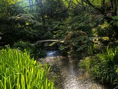 -中国茶叶博物馆(双峰馆区)
