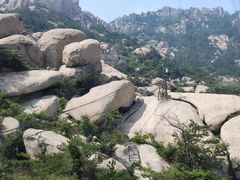 -崂山巨峰游览区