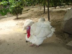 -西安秦岭野生动物园