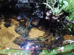 -太平洋海底世界