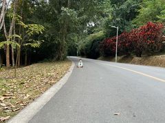 -中国科学院西双版纳热带植物园