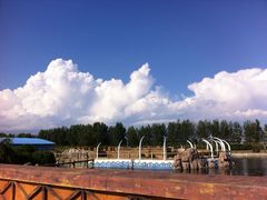 -秦皇岛乐岛海洋王国