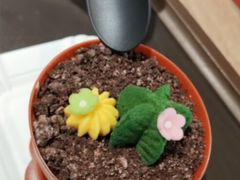 日照小丸子-85度C(苏州石路店)