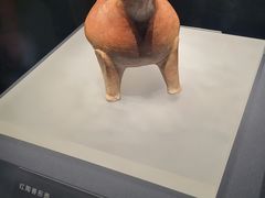 -山东博物馆