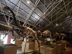 -世界恐龙谷景区