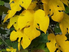 -苏州河梦清园环保主题公园