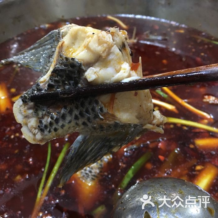 桥头罗非鱼桥头罗非鱼图片-北京鱼火锅-大众点评网