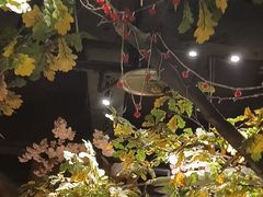 -城墙拐拐火锅(三峡广场黑金冠店)
