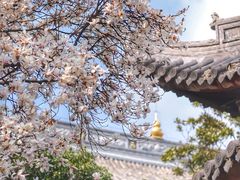 -龙华寺