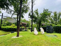 -思念果岭悦温泉