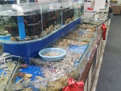 水产区-张树军海鲜(王府壹号店)