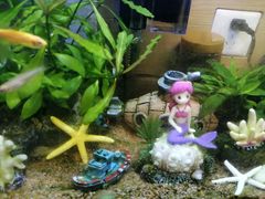 -大润发(姑嫂树店)