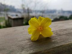 -山城巷传统风貌区