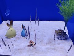 -石家庄极地海洋世界
