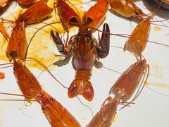 -长沙文和友(海信广场店)