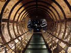 -乐山乌木文化博览苑