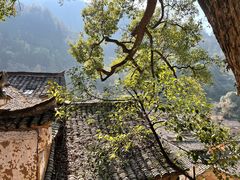 -杨家堂村