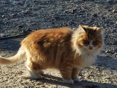 -北京西山国家森林公园