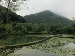 -桃花岭景区