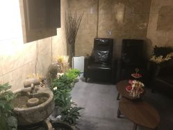-三只熊皮肤管理中心