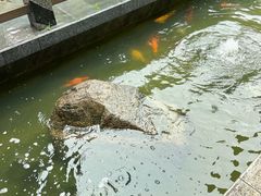 -阳春市花园酒店