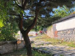 -阳台山自然风景区