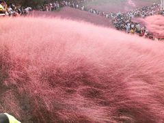 -牛岗山公园