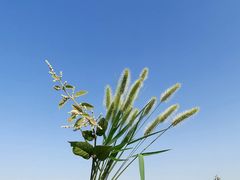 -翠屏五指山景区
