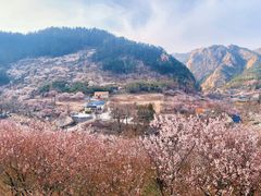 -崂山九水游览区