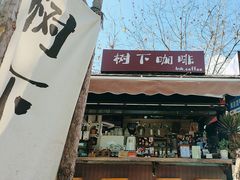-树下咖啡(昆明老街店)