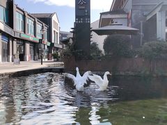 -YUNHE秐合· 雅致浙宴(西溪店)