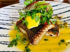 香煎深海比目鱼-Golden Lily河内巴黎法越料理餐厅(建国西路店)