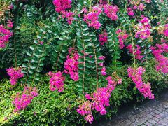 -杭州城北体育公园