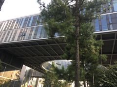 -同济大学(嘉定校区)